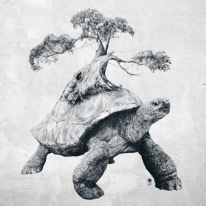 Meet your Posher, Ann